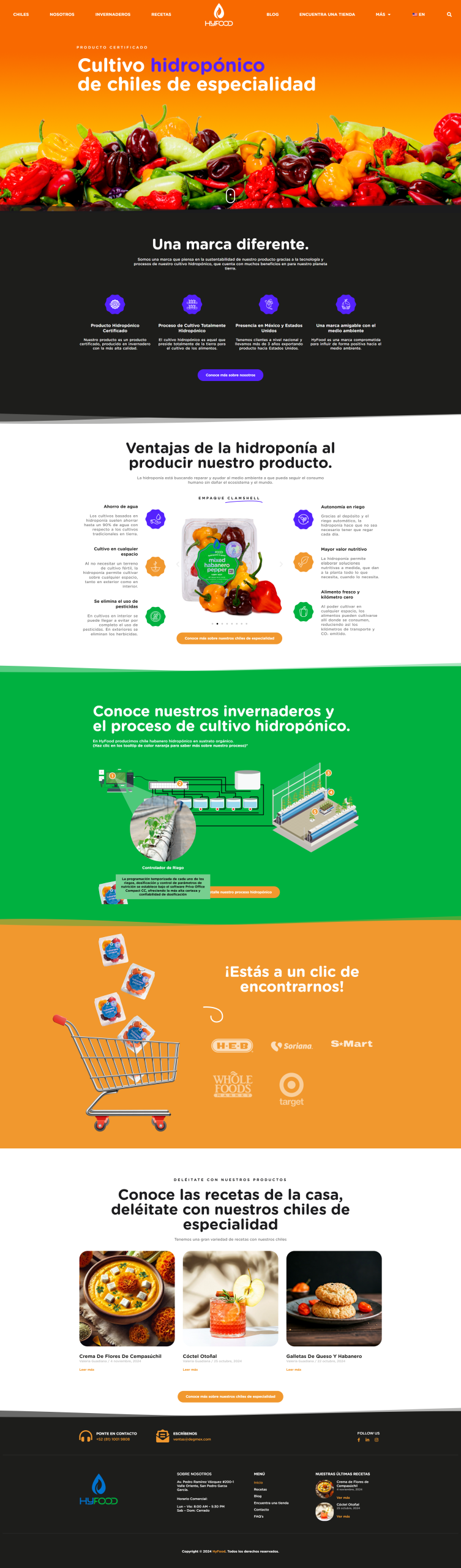 Diseño Web moderno en Monterrey por regiosdigitales