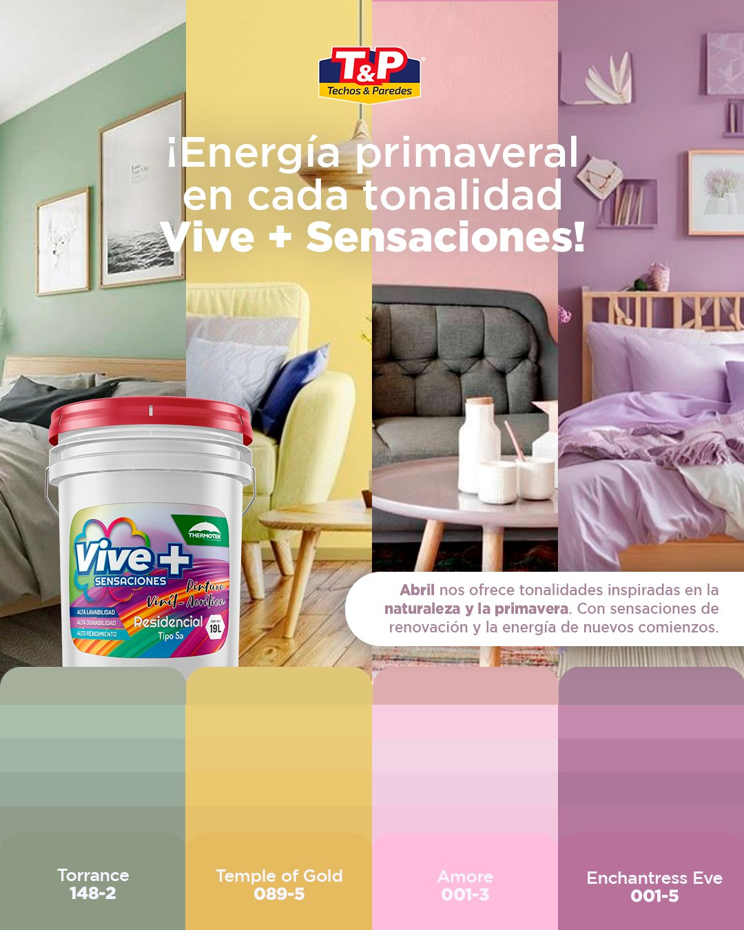 Diseño gráfico y publicidad en redes sociales.